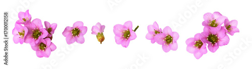 Set of small beautiful pink...
