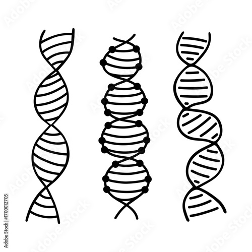 DNA double helix vector illustration set. Genetic material, cellular genome. Molecular structure of hereditary information. Hand drawn clipart, black and white doodle. For biological, medical projects