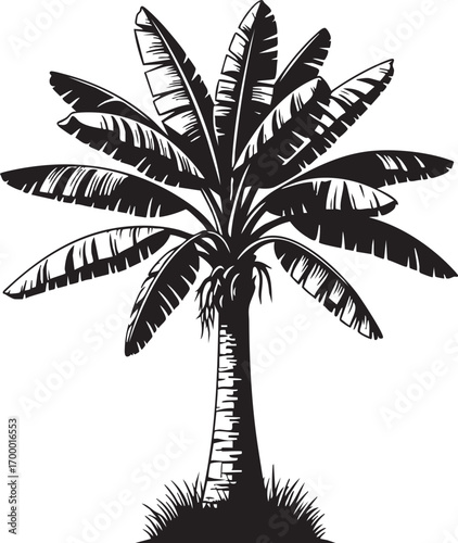 Illustration of a palm tree, showcasing its distinctive trunk and lush fronds, a symbol of tropical landscapes and serene coastal environments
