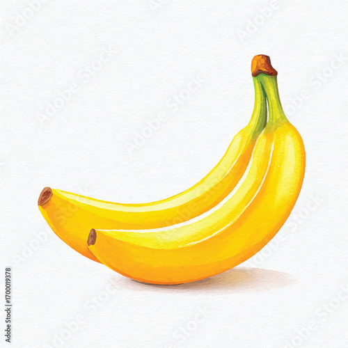 Illustration of Two Ripe Yellow Bananas.
