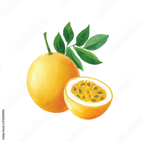 Passion Fruit Watercolor Illustration A Juicy Tropical Delight.