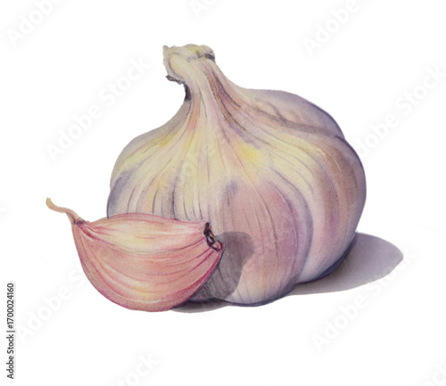 Airbrush Illustration aus den 1990er Jahren, Knoblauch Knolle und eine Zehe