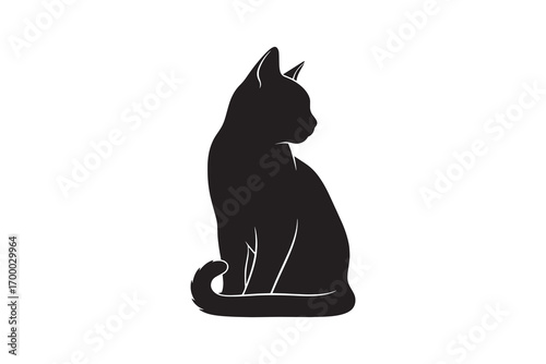 black cat on white background