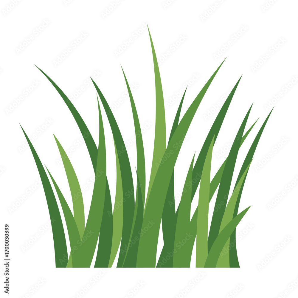 Fototapeta premium fresh green grass blades isolated on white background; perfect for eco designs, nature concepts, spring and summer projects - vector illustration
