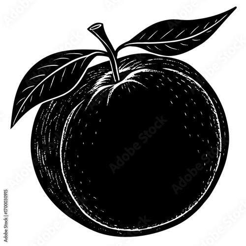 apple vector illustration