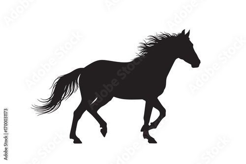horse silhouette isolated on white
