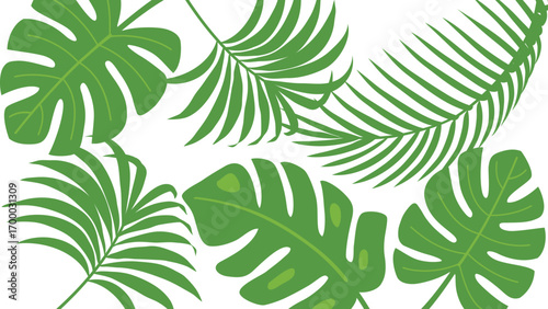 Tropical Leaf Background. Summer Palm Tree Leaf. Nature Color. Hand Drawn Vector Illustration. Greeting Card Design Template. Decoration Concept