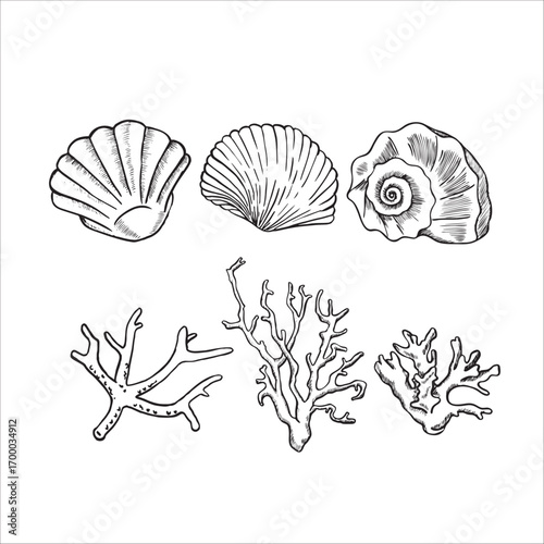 Underwater corals and seashells hand painted line sketch. Vector illustration 