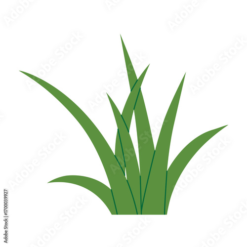 fresh green grass blades isolated on white background; perfect for eco designs, nature concepts, spring and summer projects - vector illustration