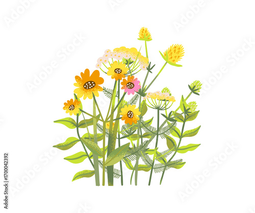 Wildflower cartoon bouquet with wild summer bunch, spring bush and colorful groove floral illustration, decorative seasonal meadow composition