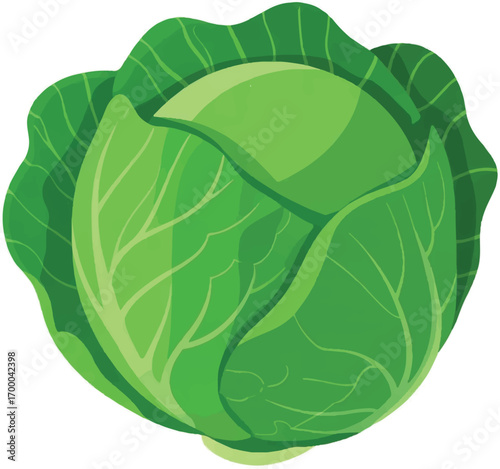 cabbage isolated on white