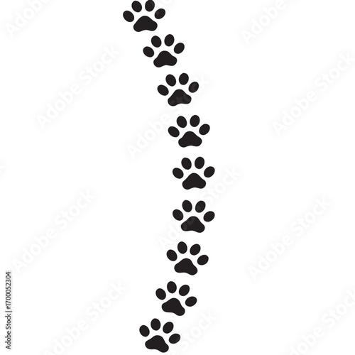 paw prints leads across a white background vector