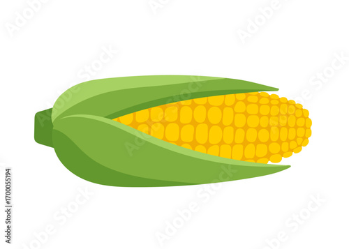Fresh corn cob with green husks. Summer vegetable for healthy eating. Farm harvest. Simple graphic design illustration