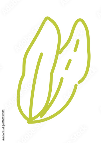 hand holding green leaf
