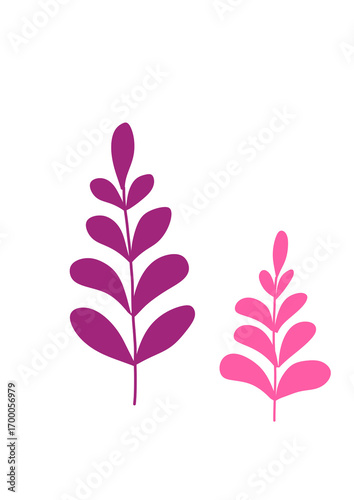 vector illustration of a set of leaves