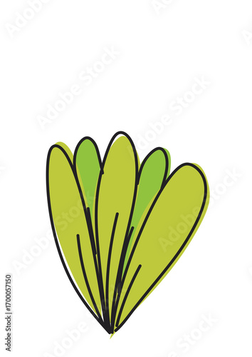 fresh green beans