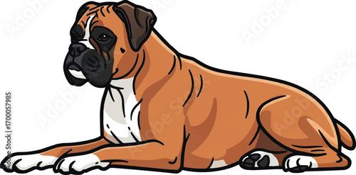 Boxer dog relaxed lying down side view vector illustration