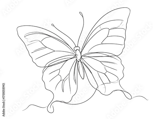 Detailed butterfly outline drawing for coloring pages or design element