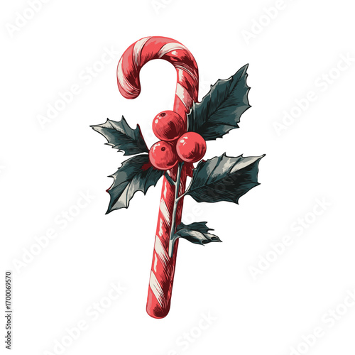 Red and white candy cane decorated with holly berries and green leaves, hand-drawn style on white background, festive Christmas concept