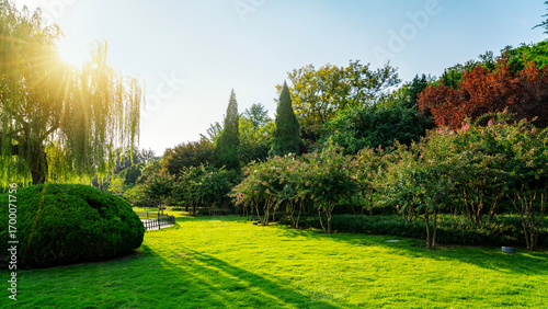 Bright sunny day in a lush green park with various trees and well-maintained grass