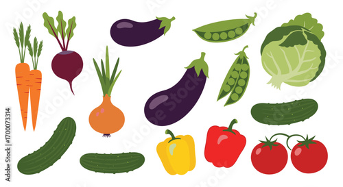 A vibrant assortment of fresh garden vegetables ready for healthy cooking and delicious meals