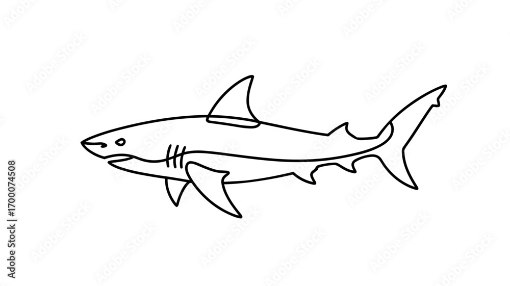 Obraz premium Shark Minimal Line Art Ocean Animal Illustration