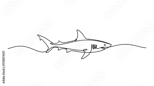 Continuous Line Shark Drawing Vector Illustration