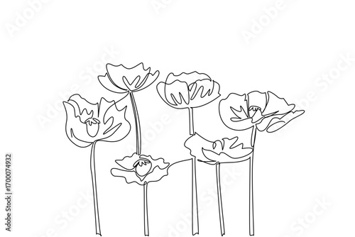 A single line drawing of blooming poppy flowers created for Opium Suppression Movement Day, representing health concept and global awareness theme with symbolic nature design.