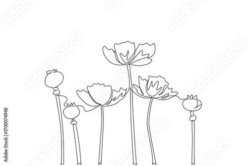 A one line drawing of poppy flowers with seed pods for Opium Suppression Movement Day, reflecting health concept and awareness theme through symbolic natural minimalist design.
