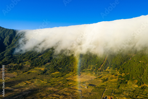 Fototapeta Naklejka Na Ścianę i Meble -  Cloud Waterfall, Cumbre Nueva, La Palma, Canary Islands