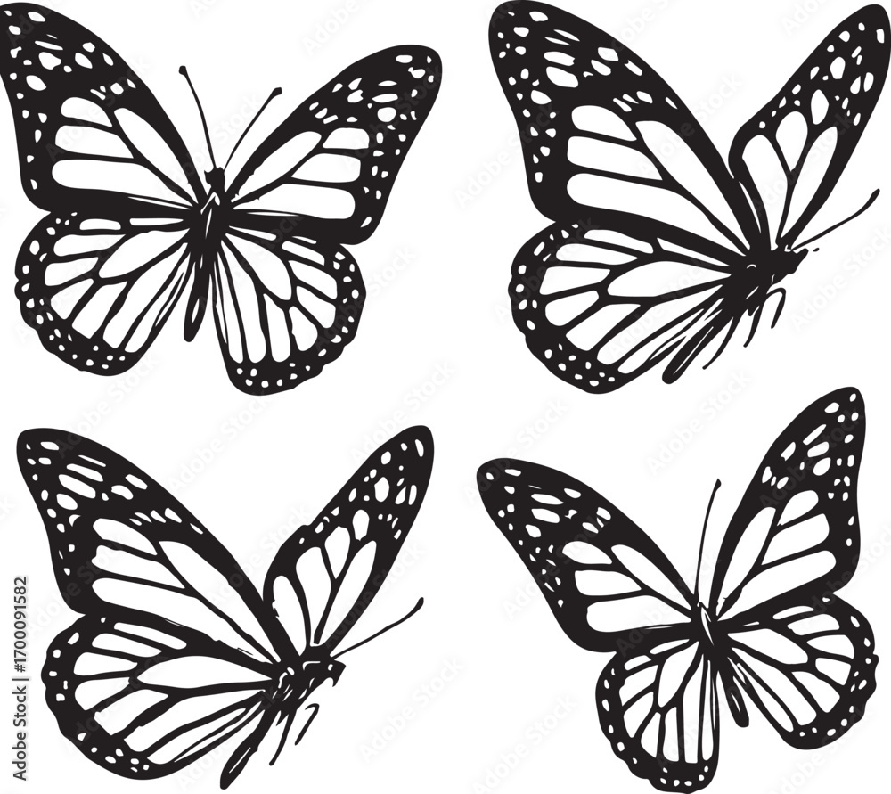 Obraz premium Monarch butterfly vector set – beautiful insect silhouette and graphic art collection.