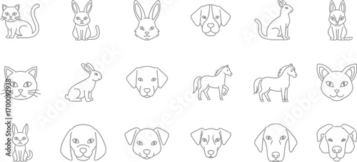 Collection of animal line drawings featuring cats, dogs, rabbits, and horses in a simple and minimalist style