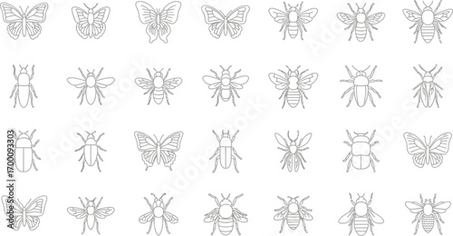 Collection of insect line drawings featuring butterflies, bees, and beetles in a simple and minimalist style