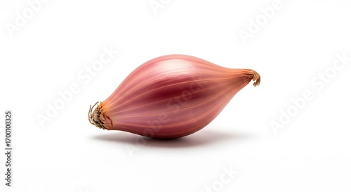 Single fresh red shallot onion isolated on a white background.