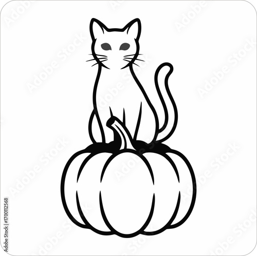 black cat with pumpkin