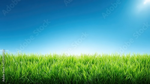A vibrant green grass field under a bright blue sky, evoking feelings of freshness and tranquility.