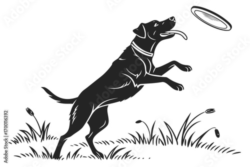 Black dog leaping to catch a flying disc in a field