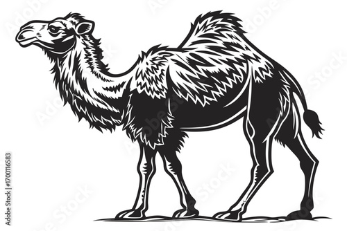 Stylized black and white illustration of a camel