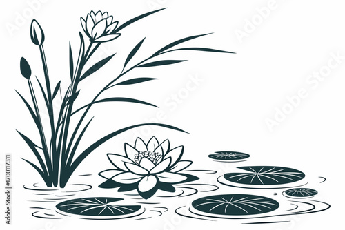Serene water lilies and reeds in a pond