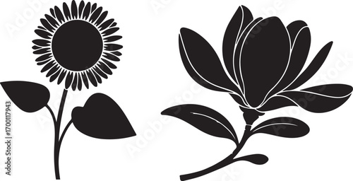Sunflower and Magnolia Flower Silhouette Botanical Illustration Plant Vector Image