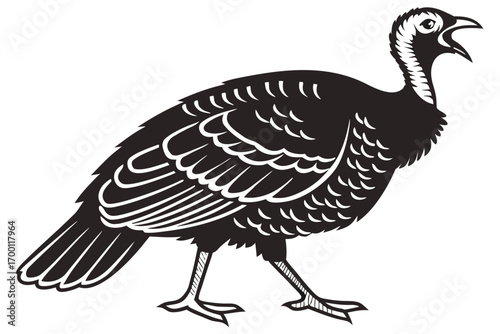 Black and white silhouette of a strutting turkey