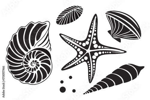 Collection of black and white seashell and starfish illustrations