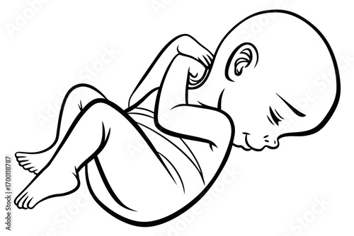 Stylized black and white drawing of a fetus in the womb