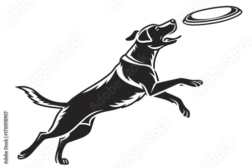 Energetic dog leaping to catch a frisbee