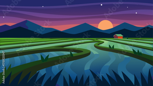 Landscape view of rice fields at twilight