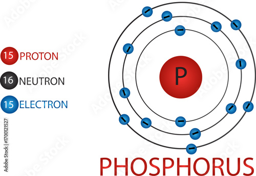 Phosphorus Atom Vector Design | Periodic Table Element P