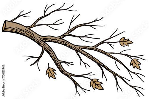 Brown tree branch with a few falling leaves