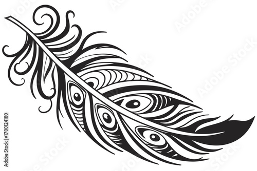 Ornate black and white feather design with swirling details