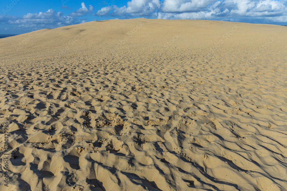 Fototapeta premium Dune du Pilat