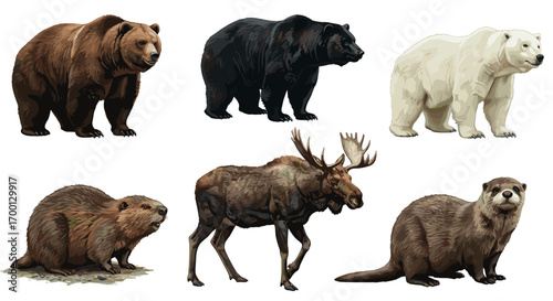 Collection of Wild Animals Moose Beaver Otter Brown Bear Black Bear Polar Bear isolated on white background